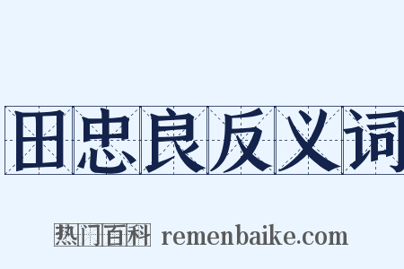 田忠良反义词是什么意思的图片